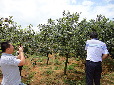 領(lǐng)導(dǎo)考察8