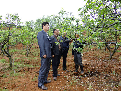 領(lǐng)導(dǎo)考察3