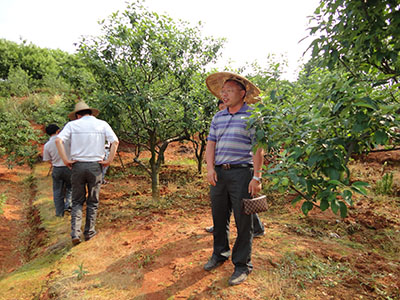 領(lǐng)導(dǎo)考察5