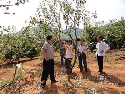 領(lǐng)導(dǎo)考察7