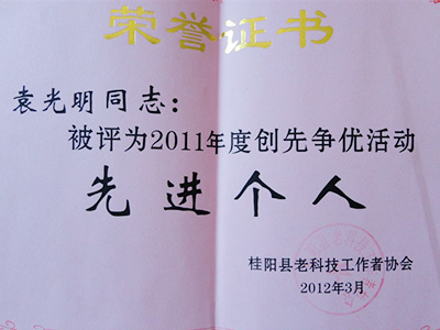 先進(jìn)個(gè)人榮譽(yù)證書(shū)