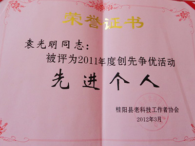 先進(jìn)個(gè)人榮譽(yù)證書(shū)2
