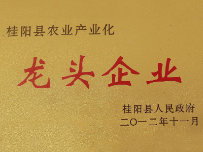 桂陽(yáng)縣農(nóng)業(yè)產(chǎn)業(yè)化 龍頭企業(yè)