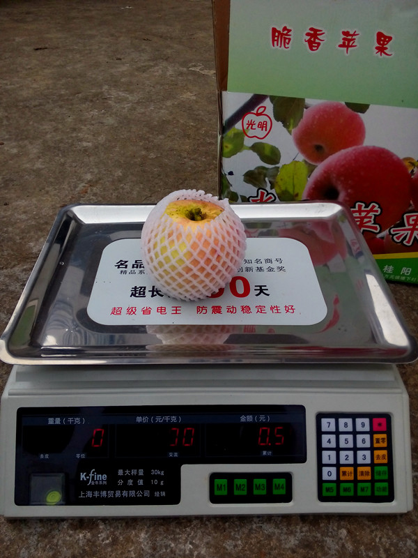 晨陽(yáng)稱重圖片