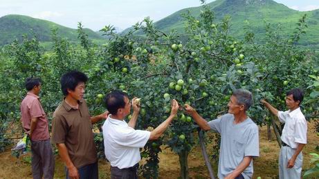 在客戶基地現(xiàn)場指導(dǎo)