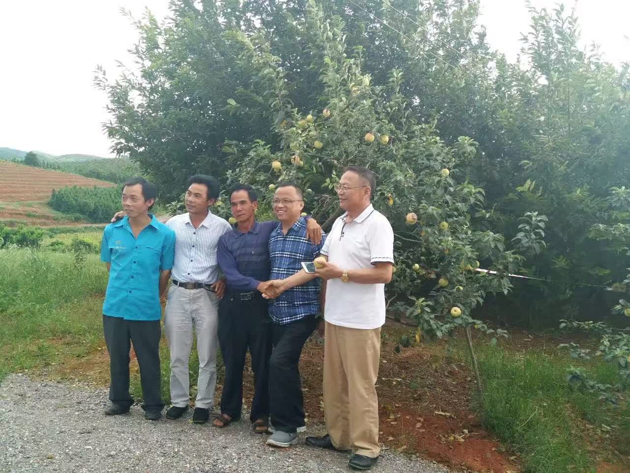 各地客戶現(xiàn)場考察