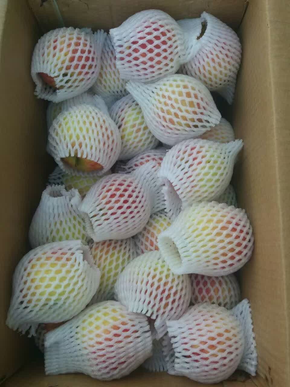 2016年南方紅富士蘋(píng)果裝箱照