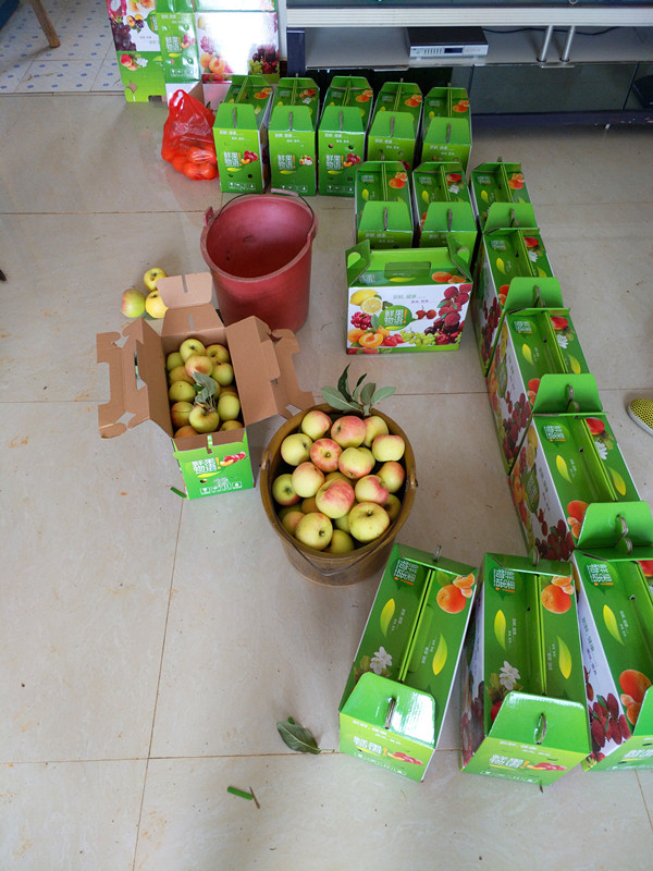 南方紅富士裝箱