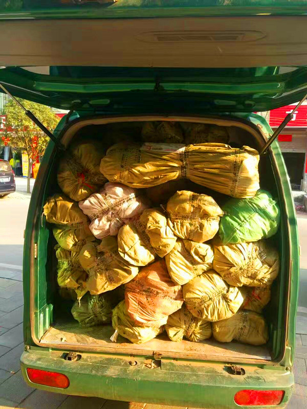 蘋(píng)果苗出售